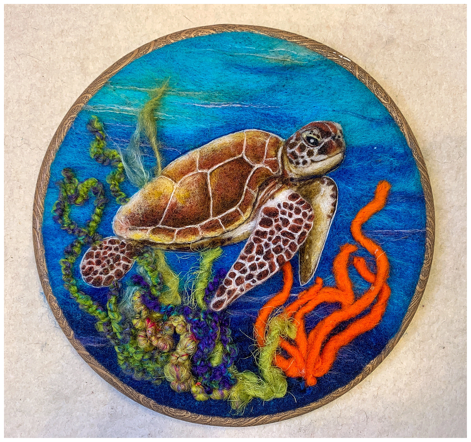 Curso de la Tortuga Marina 1