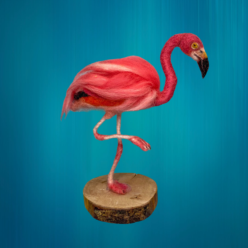 Curso del Flamenco 1