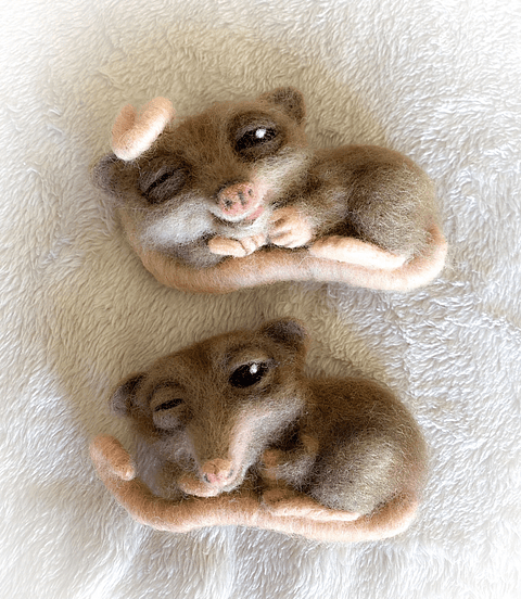 Curso del Monito del Monte