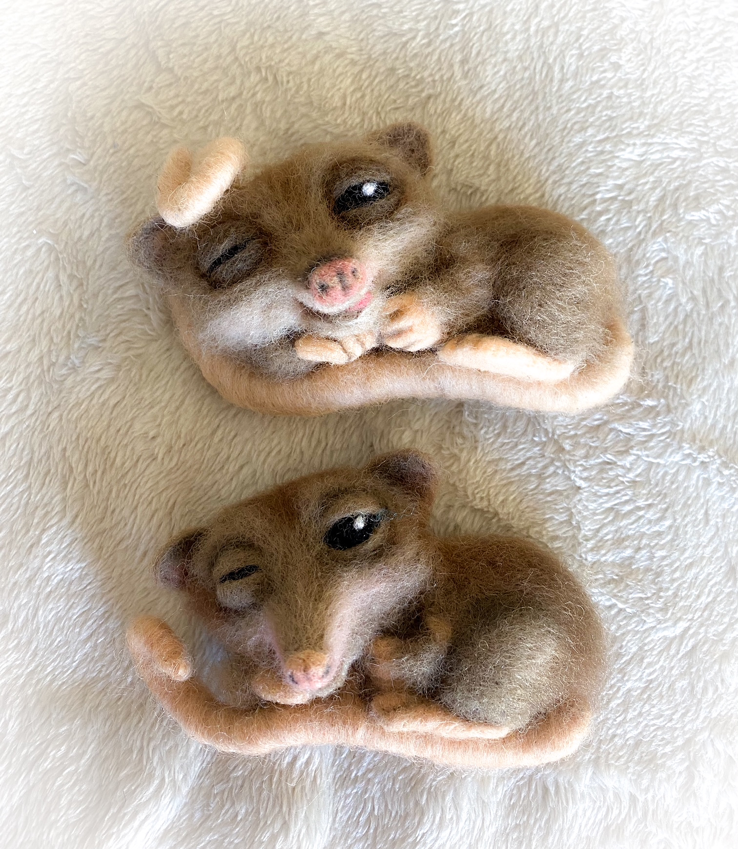 Curso del Monito del Monte 1