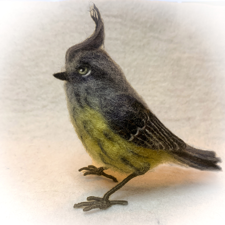 Curso del Cachudito 1