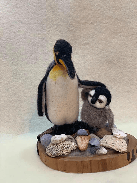Curso de los Pinguinos