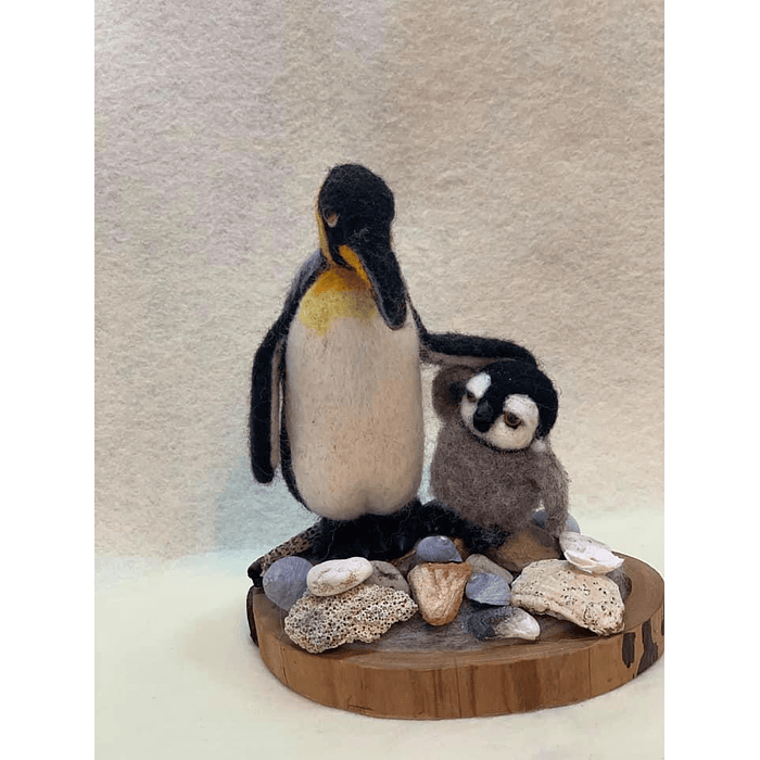 Curso de los Pinguinos
