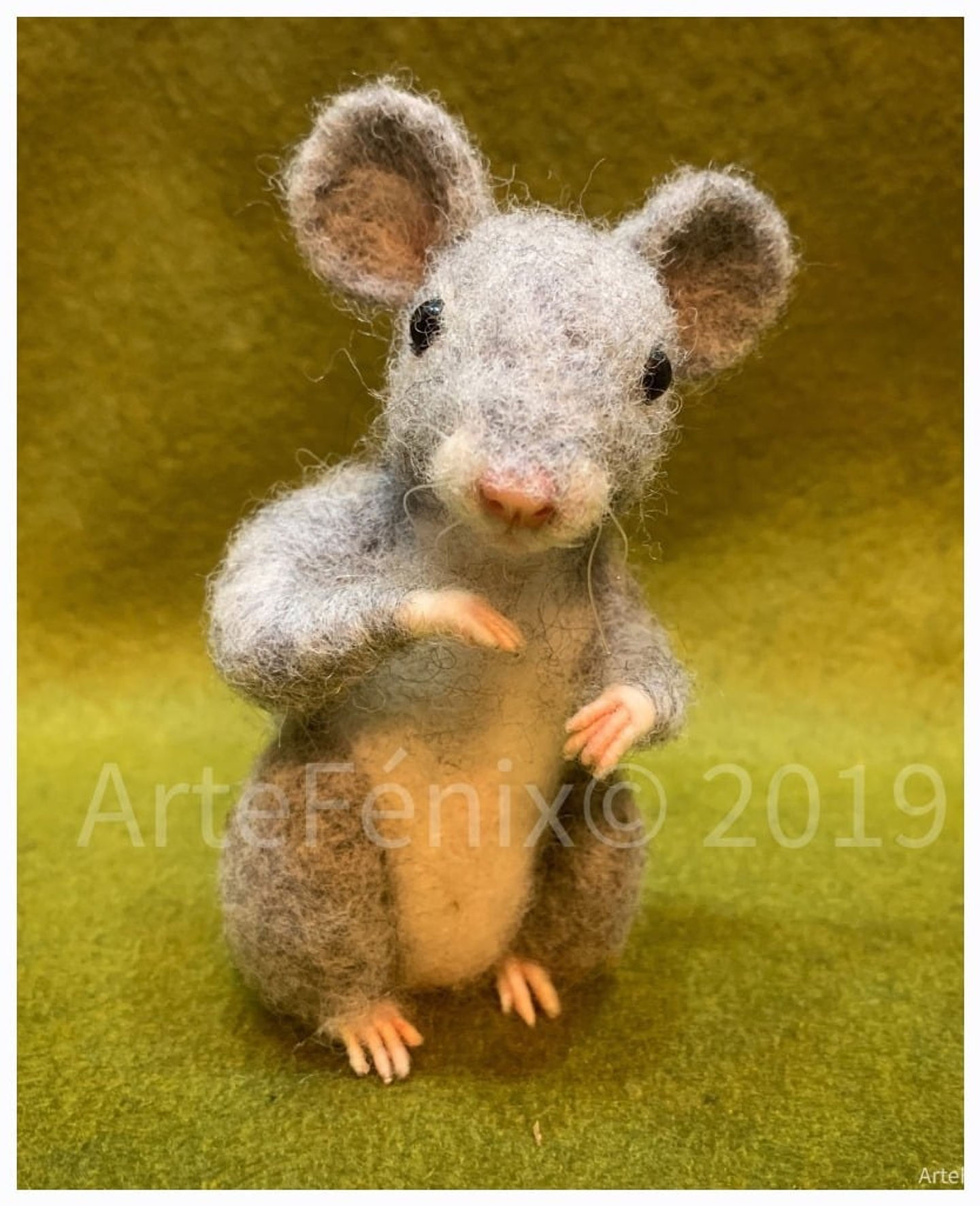 Curso del Ratoncito 1