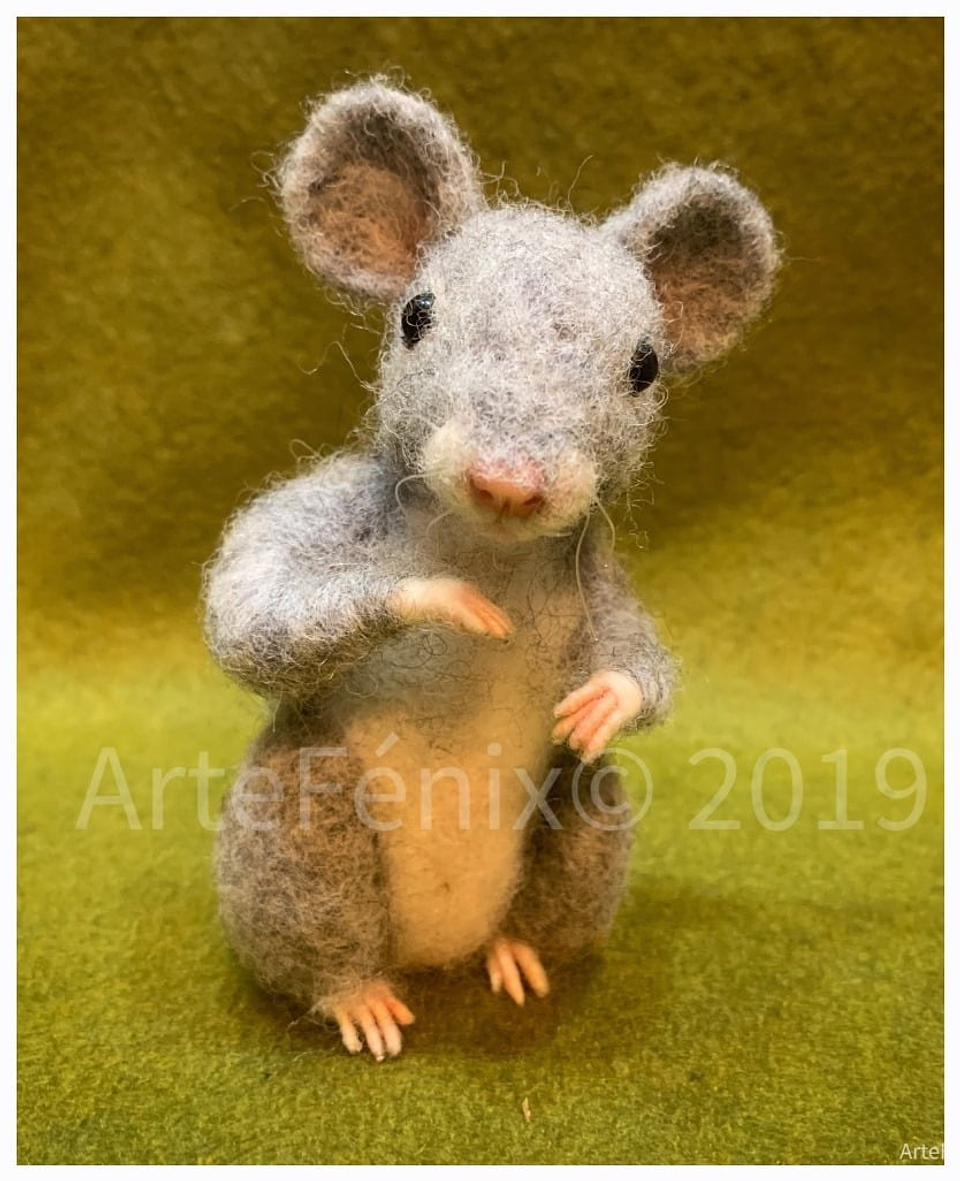 Curso del Ratoncito 1