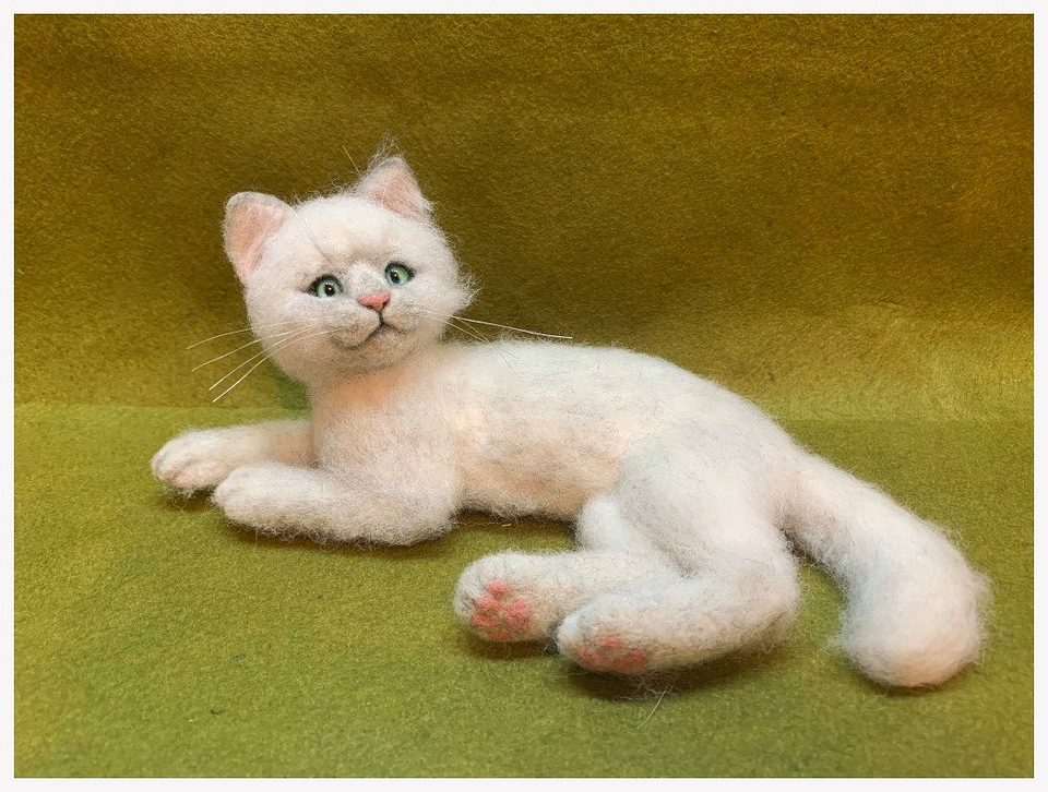 Curso del Gato Acostado 1