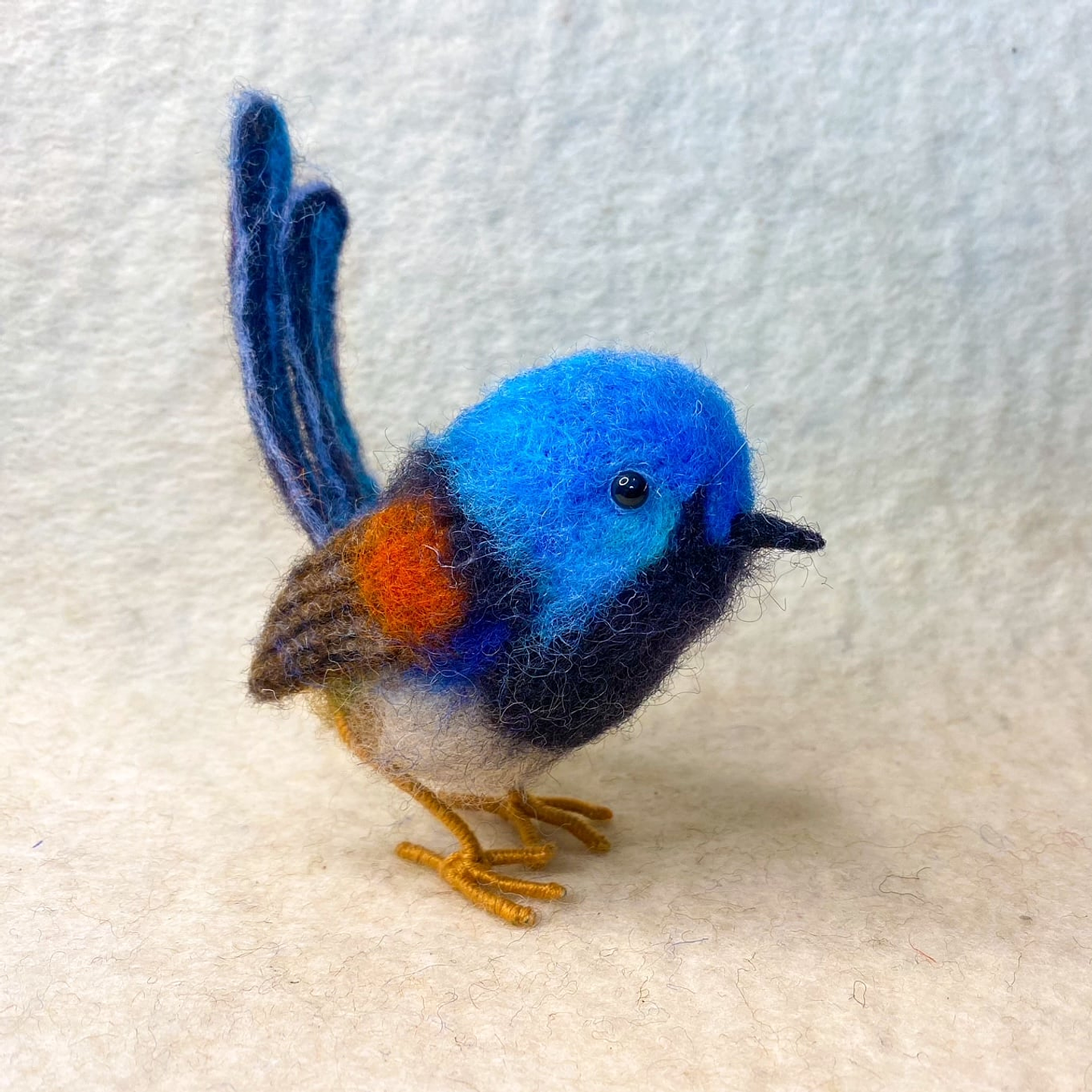 Curso del Pajarito Fairy Wren 1