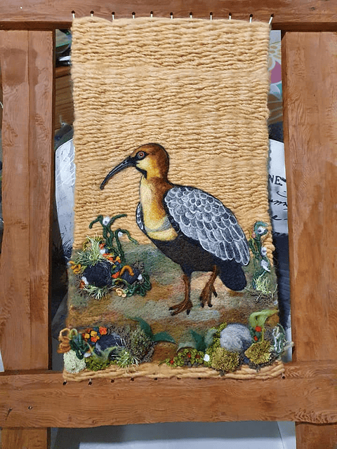 Curso de la Bandurria