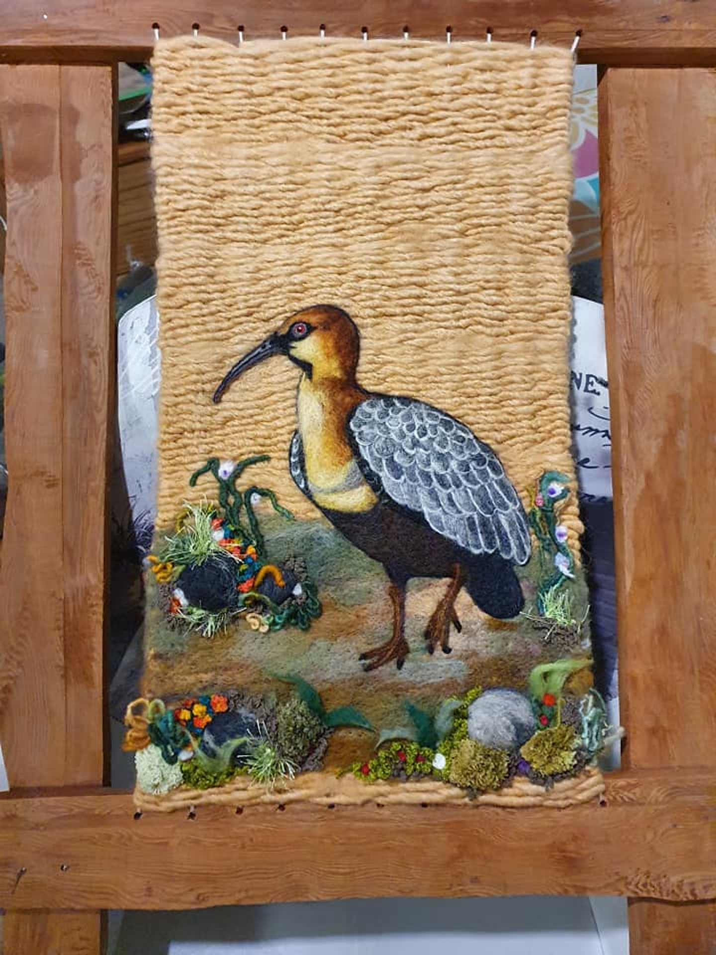 Curso de la Bandurria 1