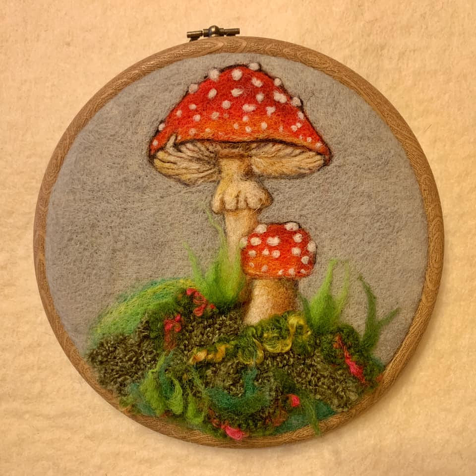 Curso de la Amanita Muscaria 1