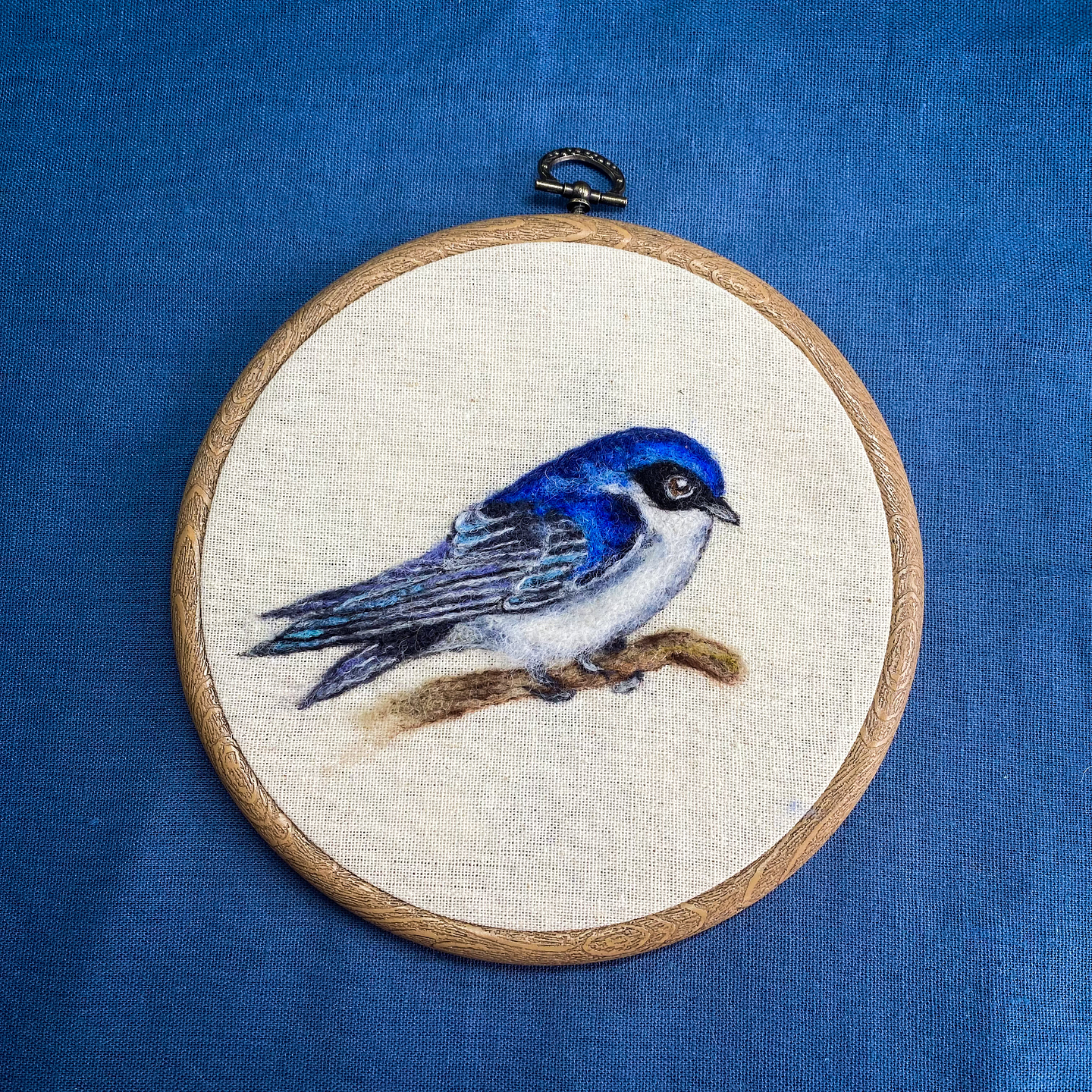 Curso de la Golondrina 1