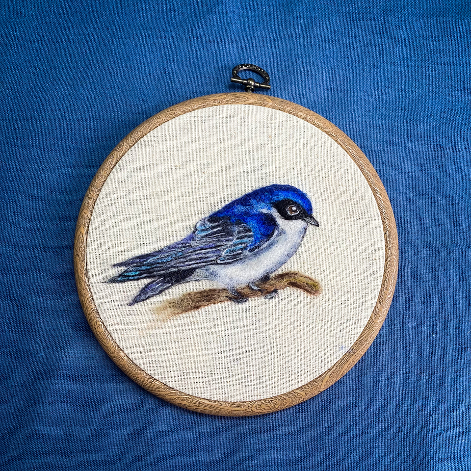 Curso de la Golondrina 1