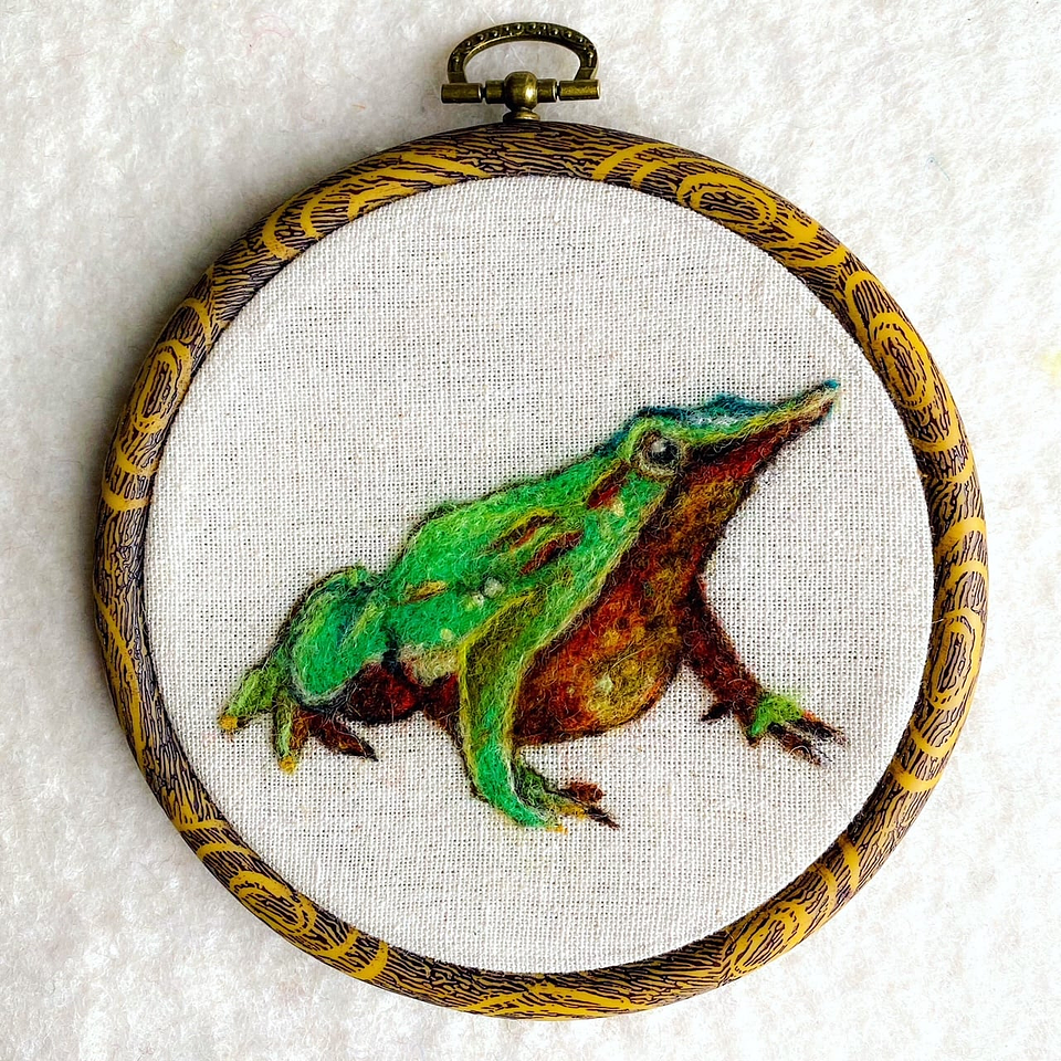 Curso de la Ranita de Darwin 1