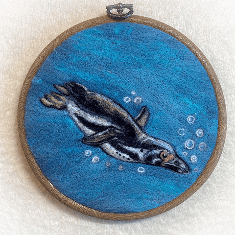 Curso del Pinguino de Humboldt