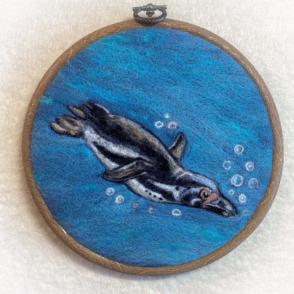 Curso del Pinguino de Humboldt 1