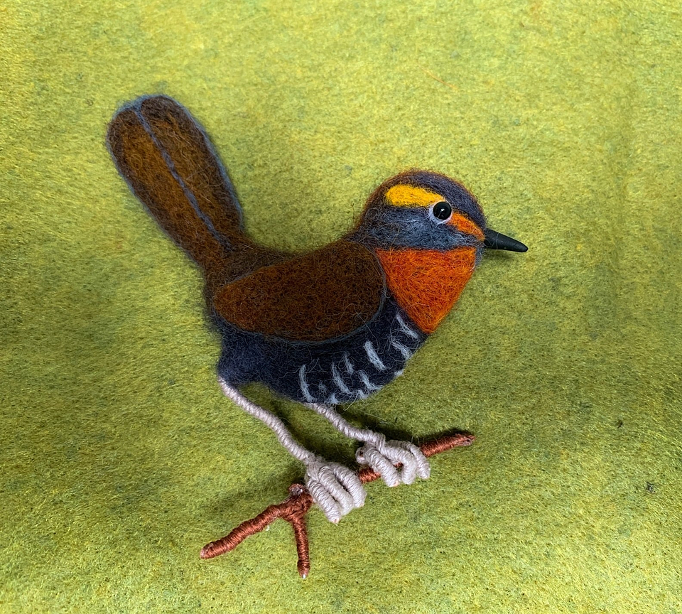 Curso del Prendedor Chucao 1