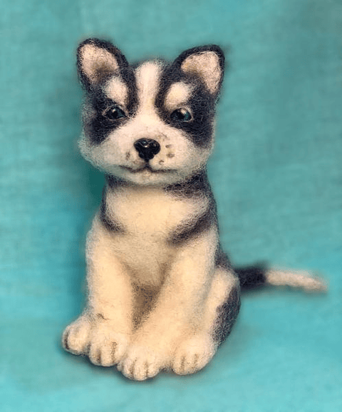 Curso del Perrito Sentado