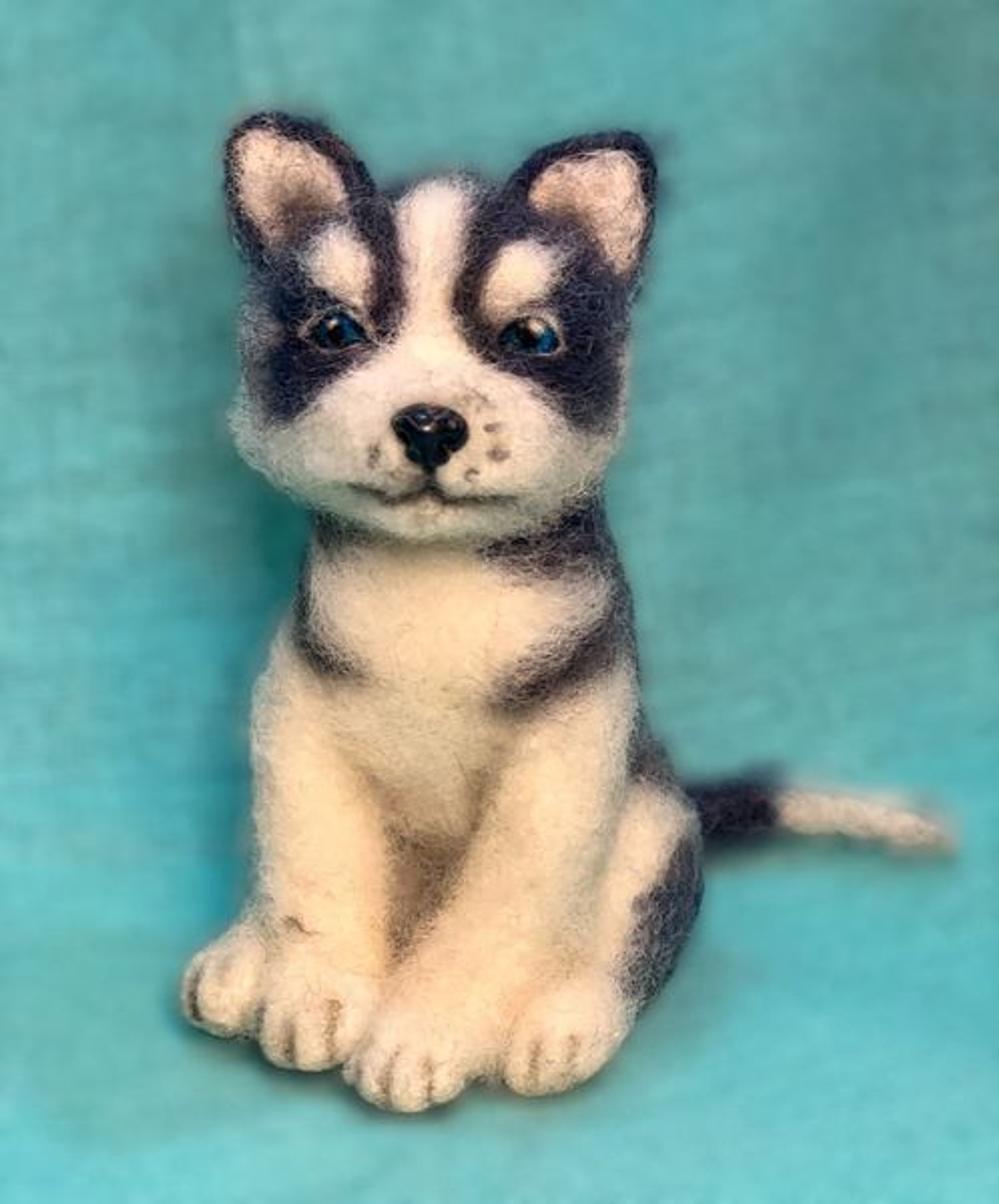 Curso del Perrito Sentado 1