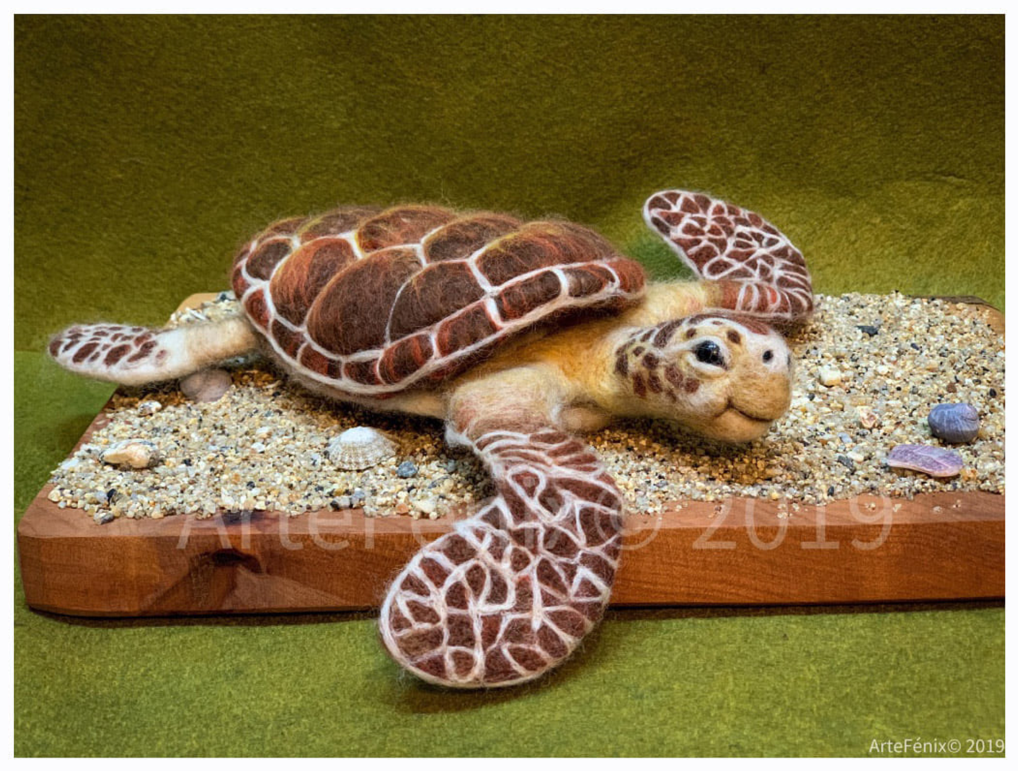 Curso de la Tortuga 1