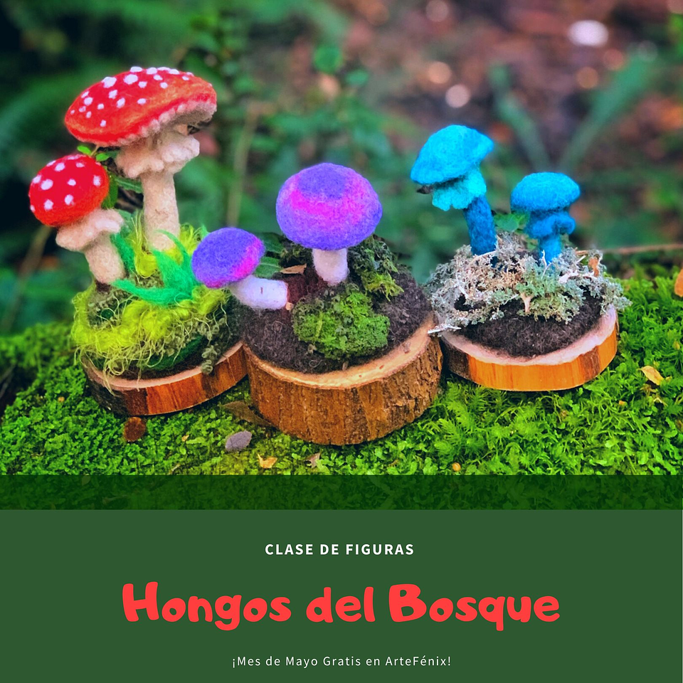 Curso de los Hongos del Bosque 1