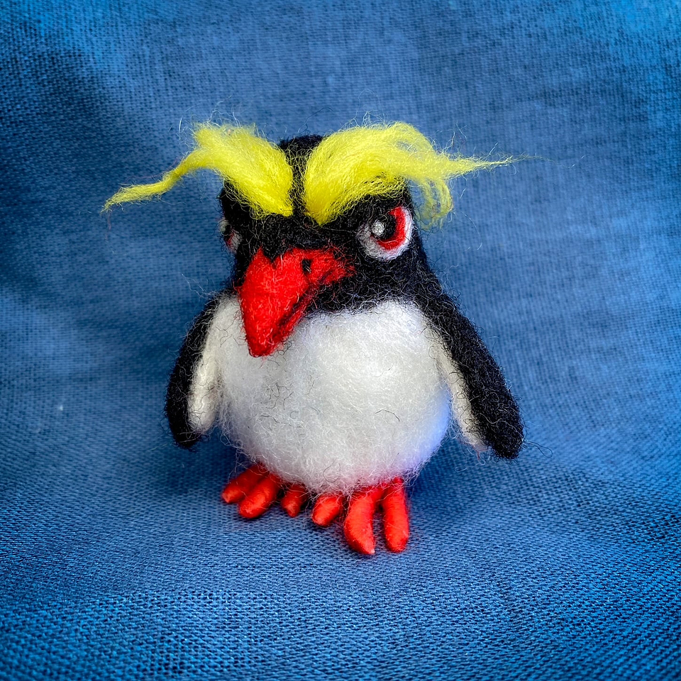 Curso del Pingüino Macaroni 1