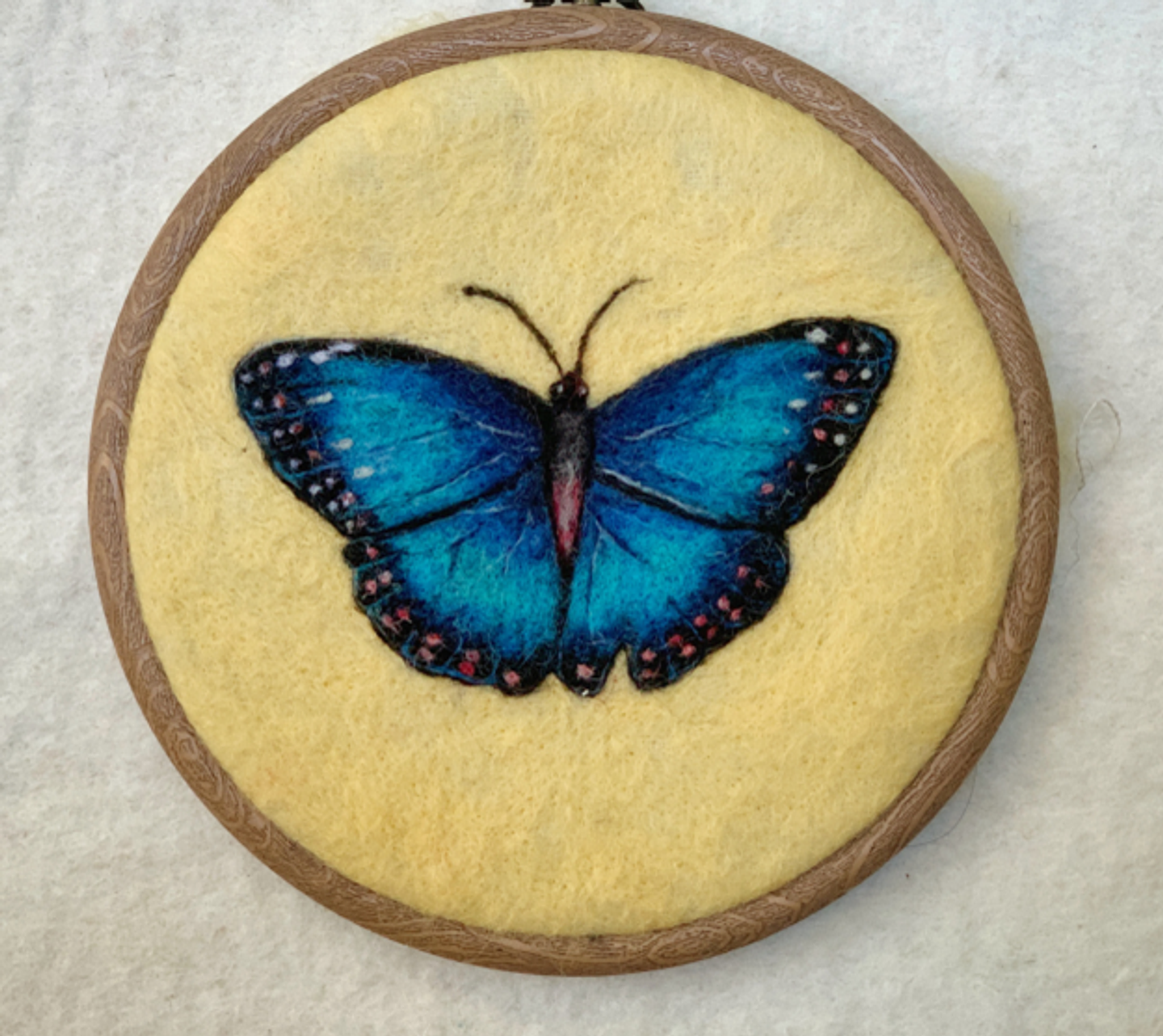 Curso de la Mariposa Azul 1