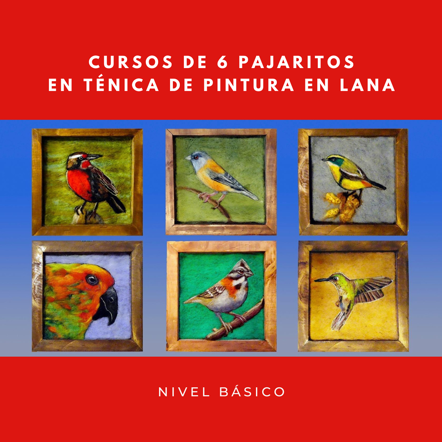 Curso de los 6 pajaritos 1