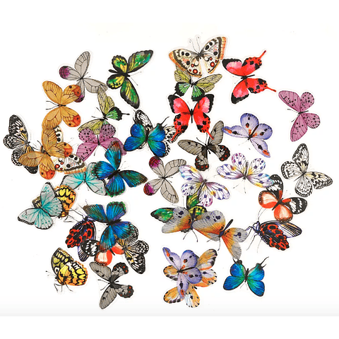 Stickers mariposas mixtas, realistas, 40pcs, fondo transparente.