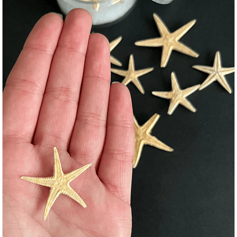 Estrellas de mar naturales pequeñas, 2cm a 4cm (10 unidades)