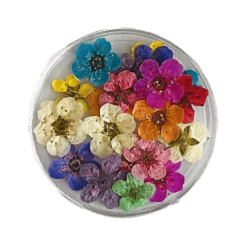 Mini flores naturales, entre 18 y 20 unidades, Multicolor