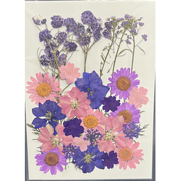 Flores naturales prensadas tonos púrpura, modelo #04.