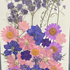 Flores naturales prensadas tonos púrpura, modelo #04.