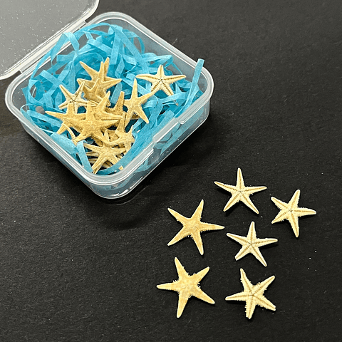 Estrellas de mar naturales pequeñas, 1-1,5 cm (20 unidades aprox)