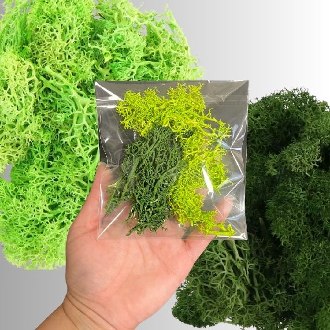 Alga/musgo artificial simulación, 6g dos tonos verdes, para encapsular. 1