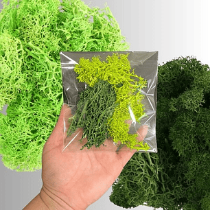 Alga/musgo artificial simulación, 6g dos tonos verdes, para encapsular.