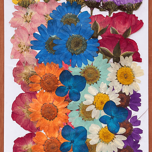 Flores naturales prensadas #01, TONOS MIXTOS