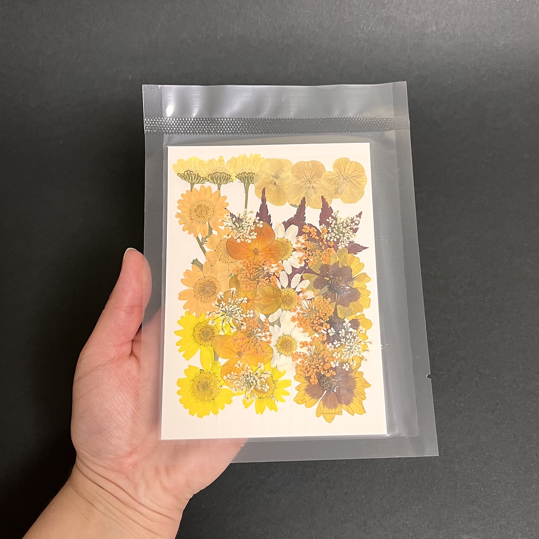 Flores naturales prensadas #02, TONOS AMARILLOS 2