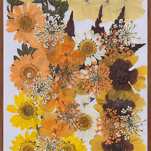 Flores naturales prensadas #02, TONOS AMARILLOS