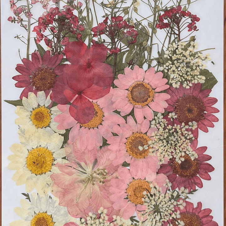 Flores naturales prensadas #04, TONOS ROSADOS 1