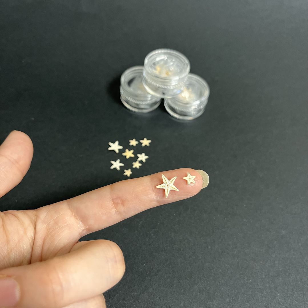 Mini Estrellas de Mar naturales, decorativas 0,5mm, 10 unidades. 2