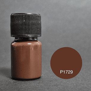 Pigmento en pasta acabado sólido 10g CAFÉ OSCURO