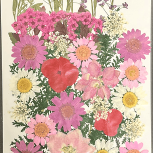 Flores naturales prensadas #08, TONOS ROSA/PÚRPURA