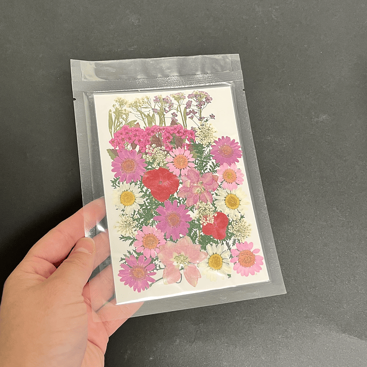 Flores naturales prensadas #08, TONOS ROSA/PÚRPURA 2