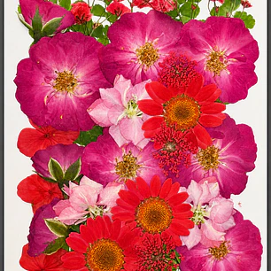 Flores naturales prensadas #10, TONOS ROJOS