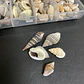 Mix caracolas/conchitas de río naturales. Aprox 150uni - Miniatura 3