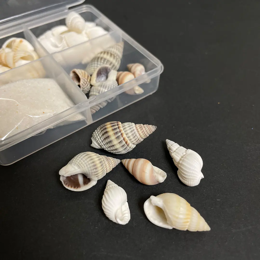 Mini set marino conchas + arena blanca  2