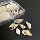Mini set marino conchas + arena blanca  - Miniatura 2