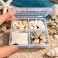 Mini set marino conchas + arena blanca  - Miniatura 1