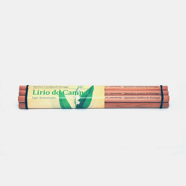 Lápices Aromatizados - Paquete de 6 Unidades