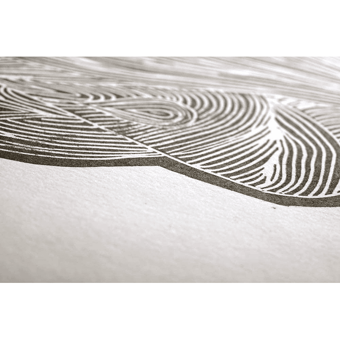 10 hojas papel SIMILI japonés 130 g (Serigrafía) 2